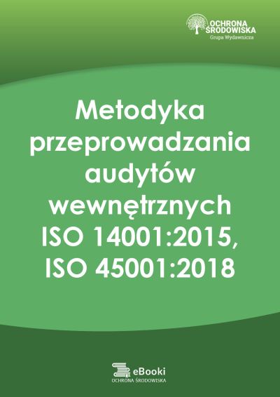 Metodyka przeprowadzania audytów - ebook