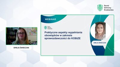 Sprawozdanie do KOBiZE