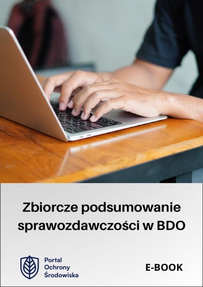 Zbiorcze podsumowanie sprawozdawczości w BDO - ebook