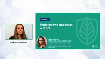 podstawowe obowiązki w BDO