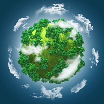 Światowy Dzień Środowiska 2025