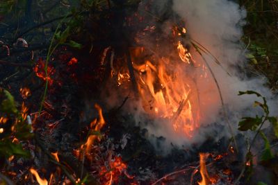 Wtórne wykorzystanie popiołów odpadowych