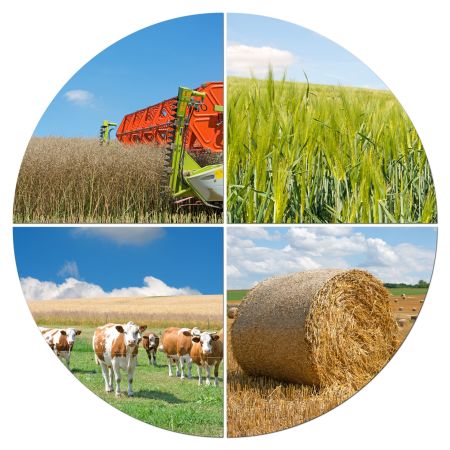 Odpady rolnicze – skuteczne metody gospodarowania i dobre praktyki