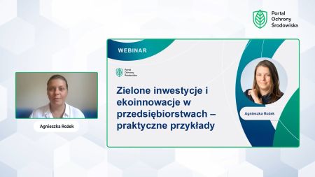 Zielone inwestycje i ekoinnowacje w przedsiębiorstwach - webinar