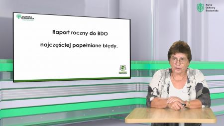 raport roczny